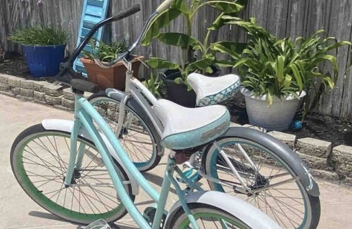 Avondale House | Come enjoy this stylish bungalow and explore everything cool about Jacksonville