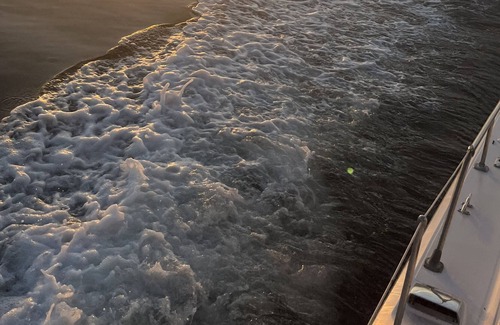 Sunny Shores Boat Rental | Come stay on the bay by the sea!