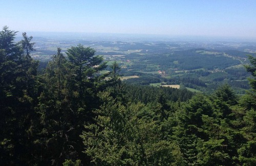 Drachselsried Apartment | Comfort apartment with balcony in the beautiful Bavarian Forest