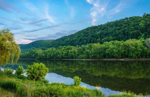 Harrisburg - Hershey House | Comfort and Convenience! Pets Allowed, Outdoor Pool, Free Parking