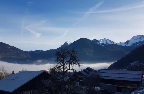 Saint-Jean-dʼAulps Apartment | Comfort and nature - Ideal stay 200m from slopes