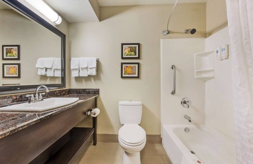 Florence Hotel | Comfort Inn Airport Turfway Road