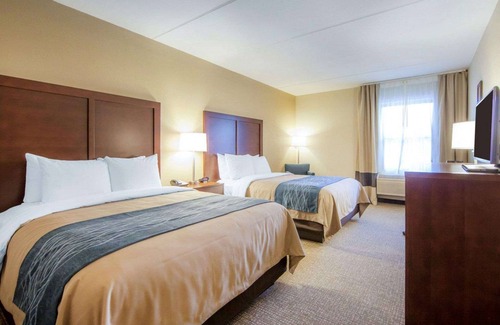 Pioneer Hotel | Comfort Inn at Royal Blue