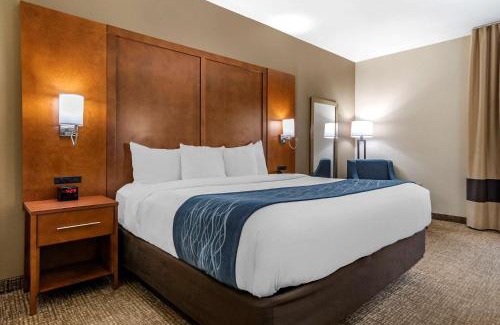 Crestline Heights Hotel | Comfort Inn Birmingham - Irondale