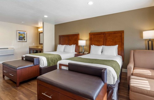 Bishop Hotel | Comfort Inn Bishop