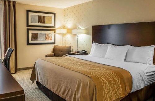 Bloomington Hotel | Comfort Inn Bloomington near University