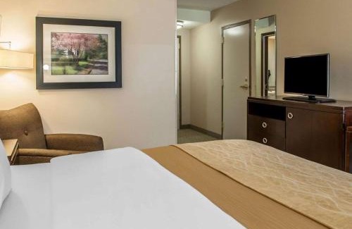 Bloomington Hotel | Comfort Inn Bloomington near University