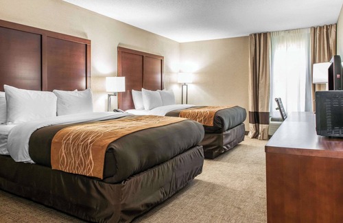 Blue Ash Hotel | Comfort Inn Blue Ash North
