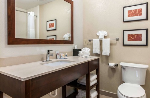Blue Ash Hotel | Comfort Inn Blue Ash North