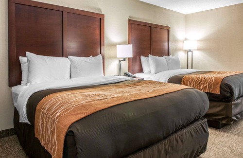Blue Ash Hotel | Comfort Inn Blue Ash North
