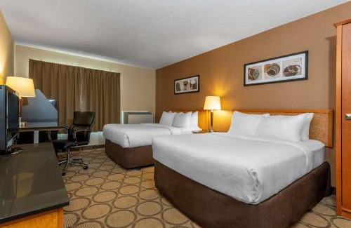 Sept-Iles Hotel | Comfort Inn