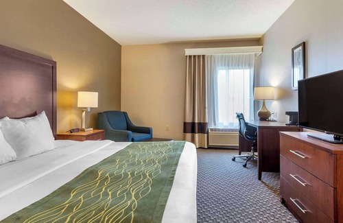 Charlotte Hotel | Comfort Inn Charlotte