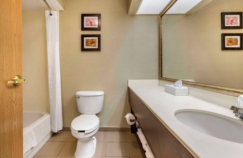 Charlotte Hotel | Comfort Inn Charlotte