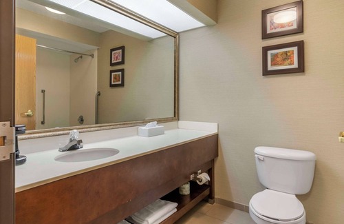 Charlotte Hotel | Comfort Inn Charlotte