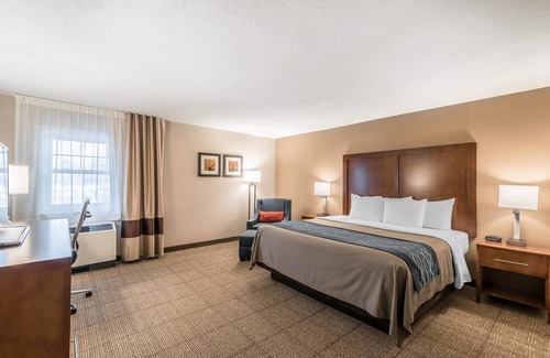 Concord Hotel | Comfort Inn Concord
