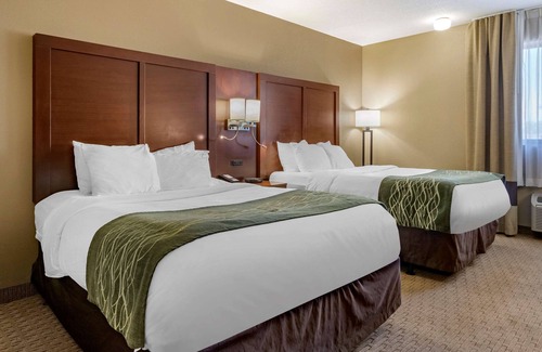 Warren Hotel | Comfort Inn Detroit/Warren Sterling Heights