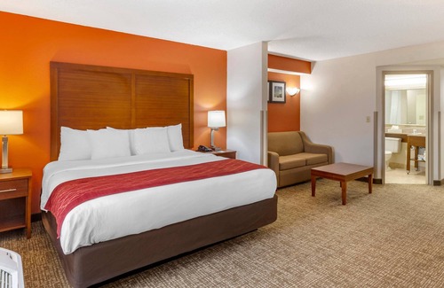 Greensboro Hotel | Comfort Inn Greensboro - Kernersville
