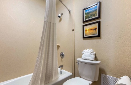 Lenoir City Hotel | Comfort Inn Lenoir City-Knoxville