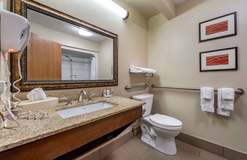 Lexington Hotel | Comfort Inn Lexington I-75