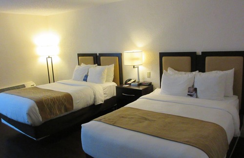 Deerfield Beach Hotel | Comfort Inn Oceanside Deerfield Beach