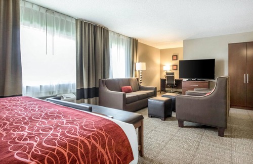 Ottawa Hotel | Comfort Inn Ottawa Starved Rock Area