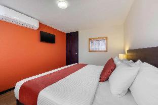 San Luis Potosi Hotel | Comfort Inn San Luis Potosi