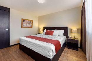 San Luis Potosi Hotel | Comfort Inn San Luis Potosi