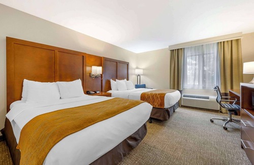 Springfield Hotel | Comfort Inn South - Springfield