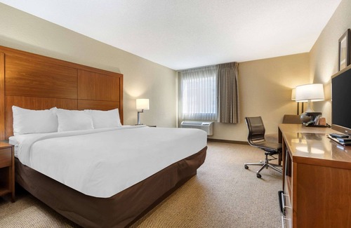 North Charleston Hotel | Comfort Inn & Suites Charleston Airport Convention Center