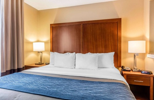 Memphis Hotel | Comfort Inn & Suites Airport - American Way