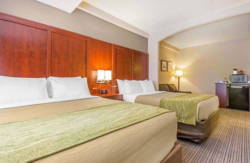 Collingwood Hotel | Comfort Inn & Suites