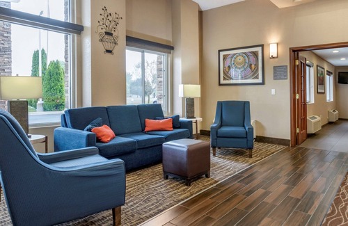 Dimondale Hotel | Comfort Inn & Suites Diamondale – Lansing