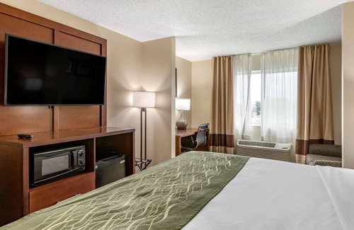 Dimondale Hotel | Comfort Inn & Suites Diamondale – Lansing