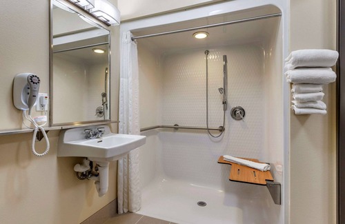 Dimondale Hotel | Comfort Inn & Suites Diamondale – Lansing