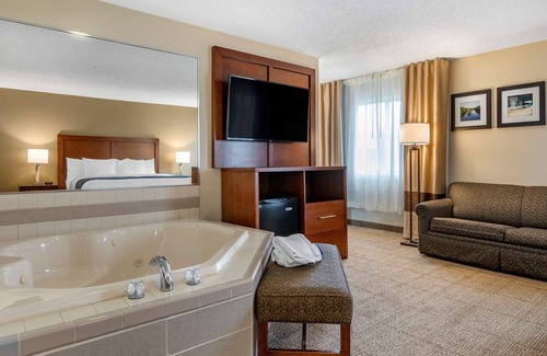 Dimondale Hotel | Comfort Inn & Suites Diamondale – Lansing