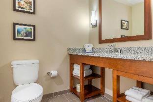 Florence Hotel | Comfort Inn & Suites Florence Center Area