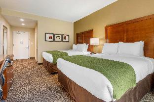 Florence Hotel | Comfort Inn & Suites Florence Center Area