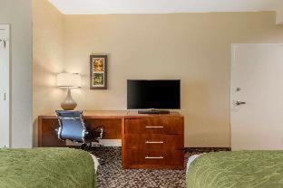 Florence Hotel | Comfort Inn & Suites Florence Center Area
