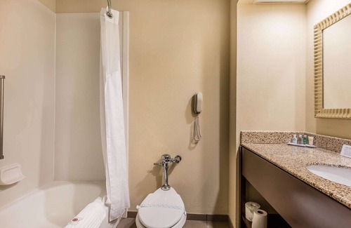 Jasper Hotel | Comfort Inn & Suites Jasper Hwy 78 West
