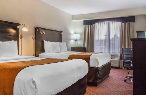 Queens Hotel | Comfort Inn & Suites LaGuardia Airport