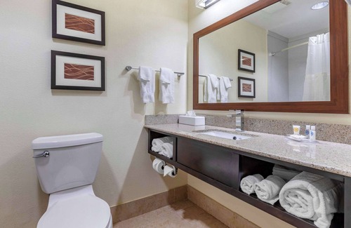 Cornelius Hotel | Comfort Inn & Suites Lake Norman