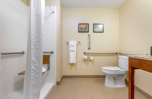 Lenoir Hotel | Comfort Inn & Suites Lenoir Hwy 321 Northern Foothills