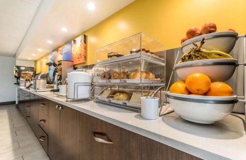 Lexington Hotel | Comfort Inn & Suites Lexington - Hamburg I-75