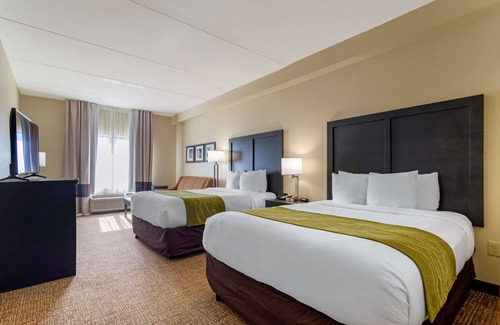 Gunter Afs Hotel | Comfort Inn & Suites Montgomery Eastchase