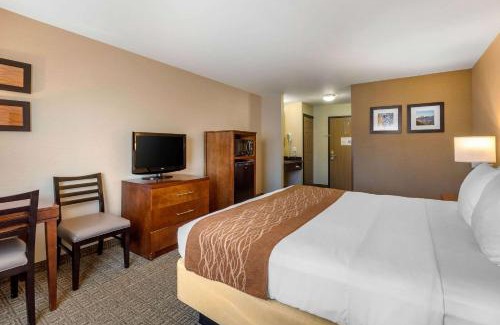 Temecula Hotel | Comfort Inn & Suites Murrieta Temecula Wine Country