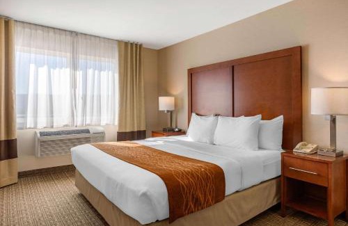 Temecula Hotel | Comfort Inn & Suites Murrieta Temecula Wine Country