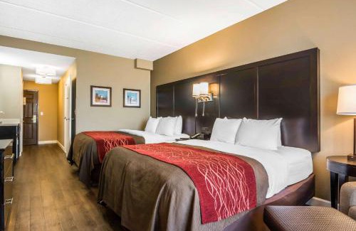 Lithia Springs Hotel | Comfort Inn & Suites near Six Flags