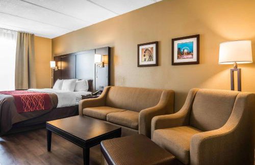 Lithia Springs Hotel | Comfort Inn & Suites near Six Flags