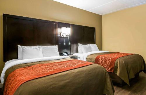 Lithia Springs Hotel | Comfort Inn & Suites near Six Flags