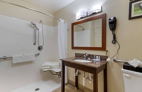 Wetmore Hotel | Comfort Inn & Suites Near Six Flags & Medical Center